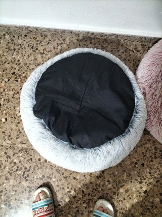 Cama para Gatos