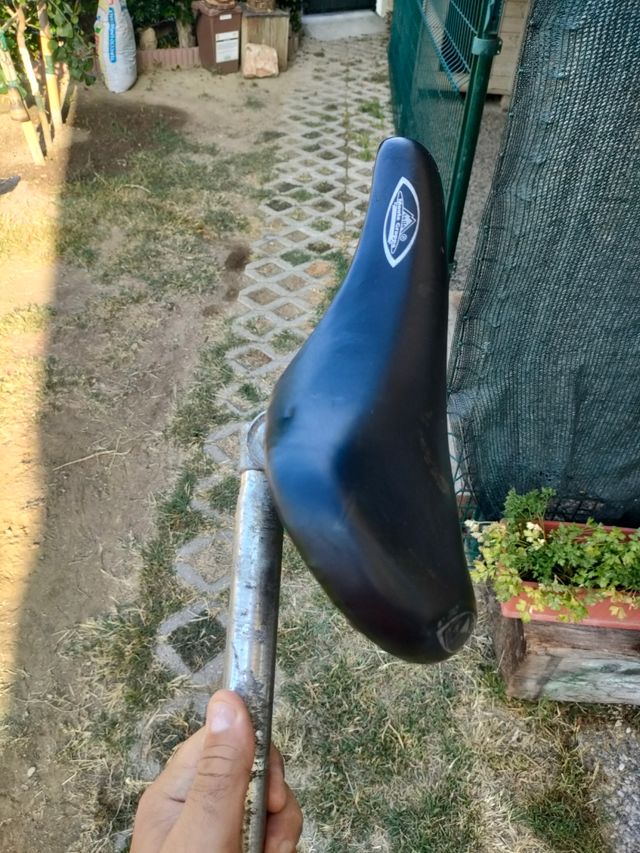 Selle vintage Montegrappa