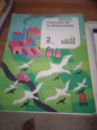 Libros 1/2/3°4°primaria