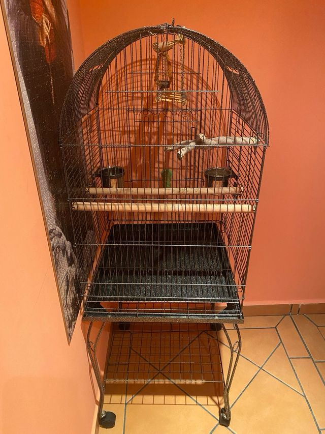 Jaula para ninfa o similar 