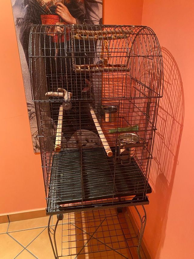 Jaula para ninfa o similar 