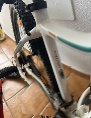 Bicicleta de montaña