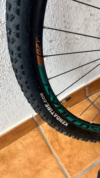 Bicicleta de montaña