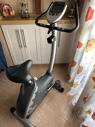 Bicicleta estática BH H490 RHYNO