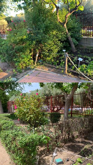 Jardinero 