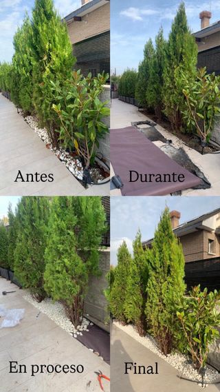 Jardinero 