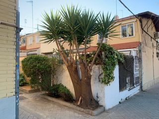 Jardinero 