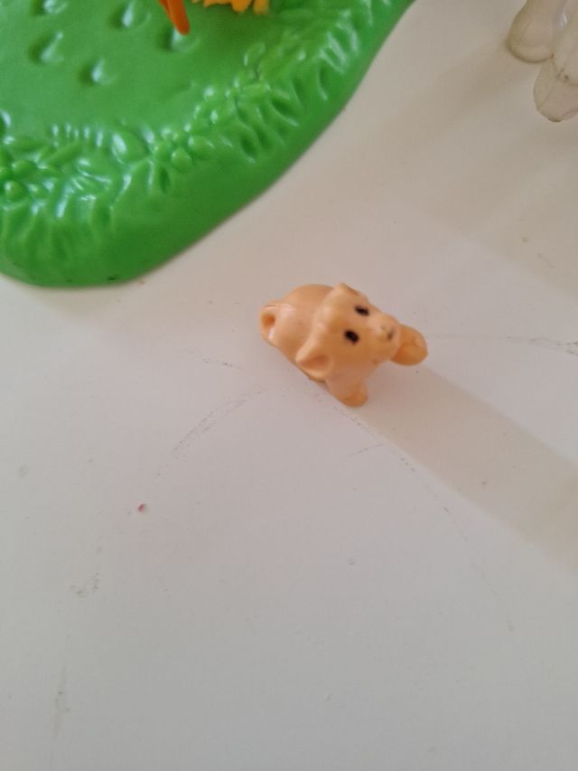 Animali di piccola taglia