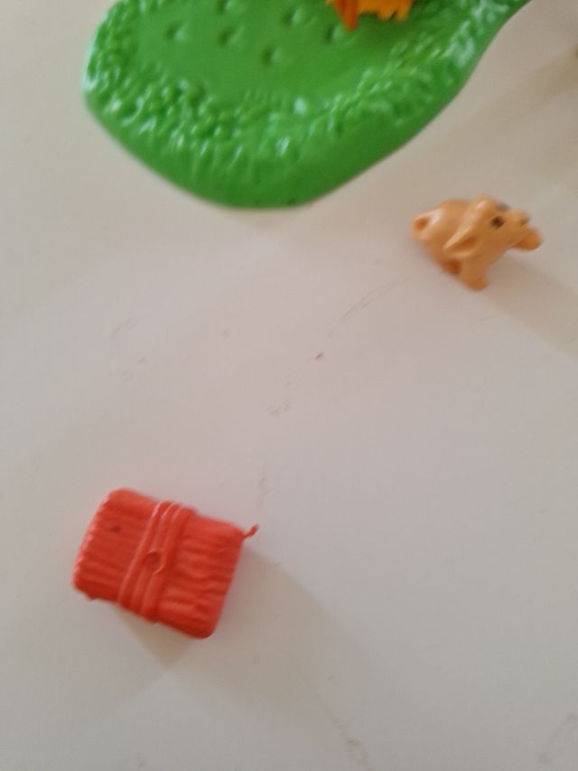 Animali di piccola taglia