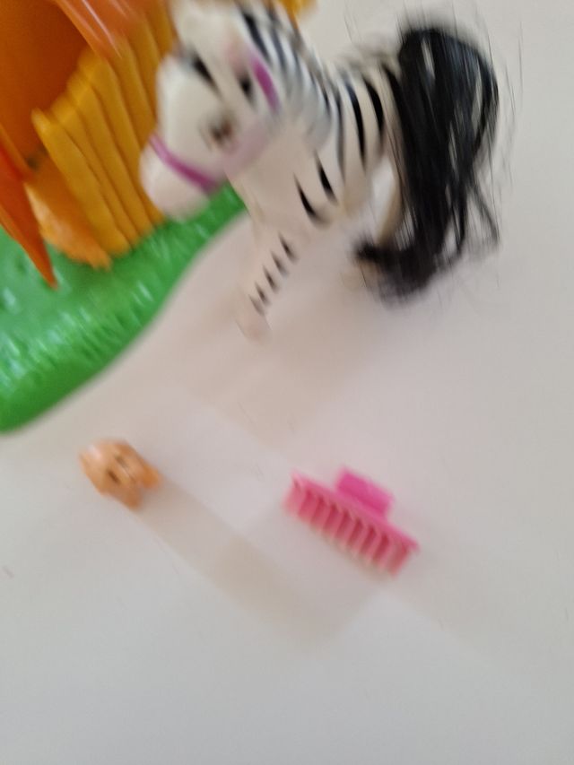 Animali di piccola taglia