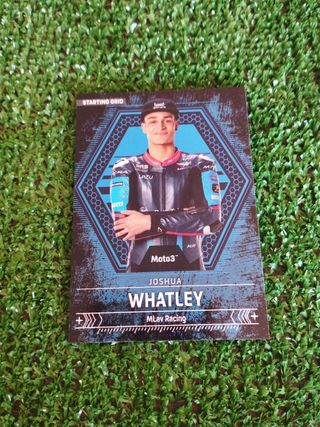Panini MotoGP Whatley Moto3 Grid #121
