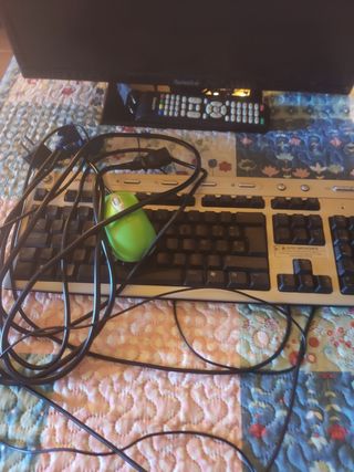 Ordenador,monitor y teclado