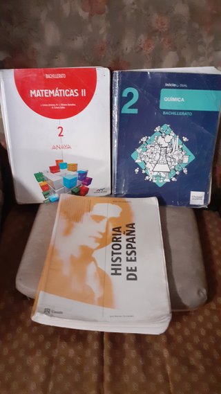 Lote libros Bachillerato