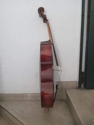 Violín