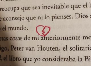 Bajo la misma estrella