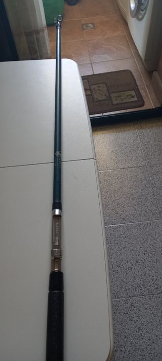 Caña de pesca