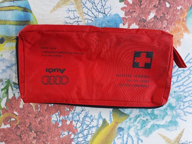 Borsa Audi pronto soccorso