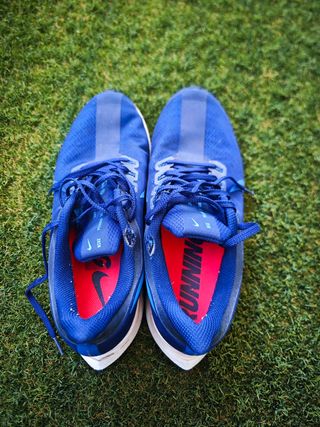 Zapatillas Pegasus 35