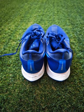 Zapatillas Pegasus 35