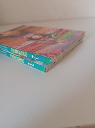 2 mangas Someday's Dreamers