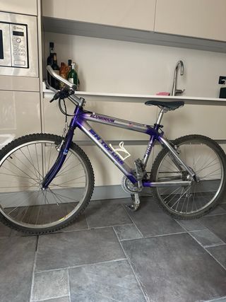 Bicicleta bh top line