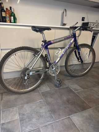 Bicicleta bh top line