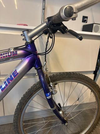 Bicicleta bh top line