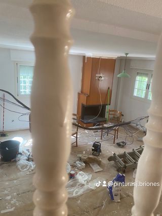 Pintores 698 408 174