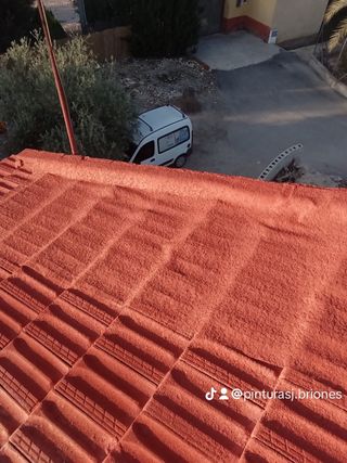 Pintores 698 408 174