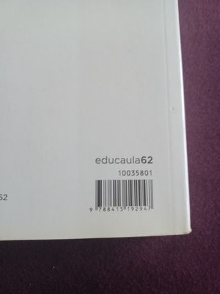 Tirant lo blanc Episodis amorosos