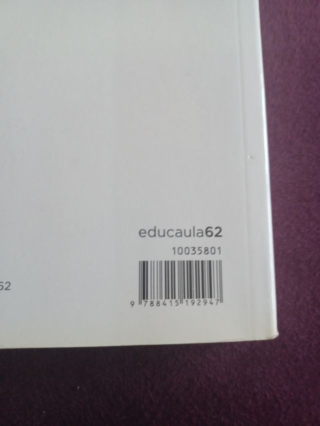 Tirant lo blanc Episodis amorosos