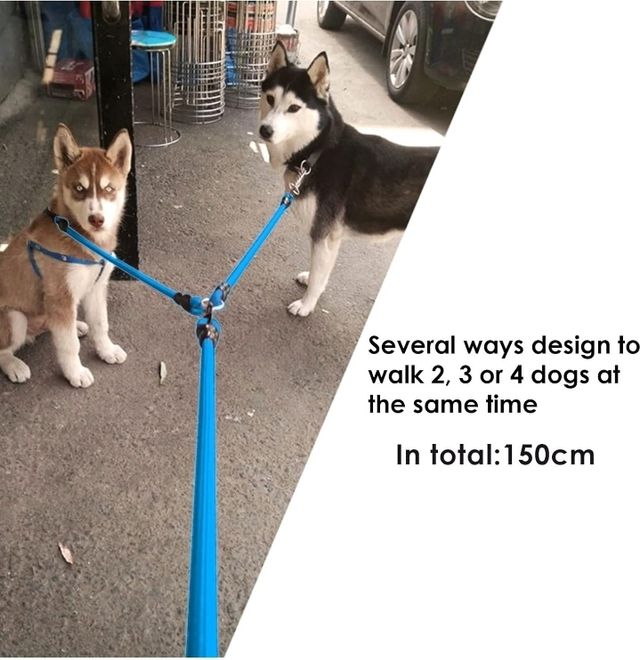 Guinzaglio cani 4 posizioni