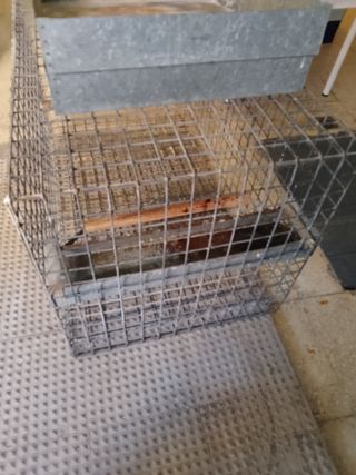 JAULA  DE LORO O DE POLLOS