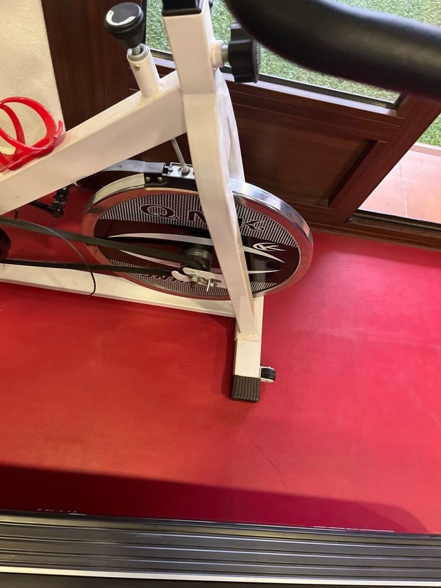 Bicicleta spinning para arreglar