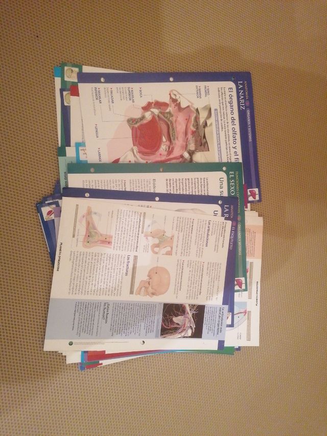 Il corpo umano dal pianeta a