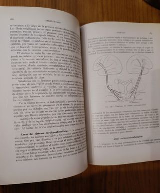 Libro medicina antiguo vías nerviosas