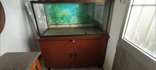 Pecera acuario