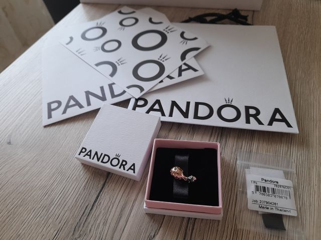 Charm Pandora