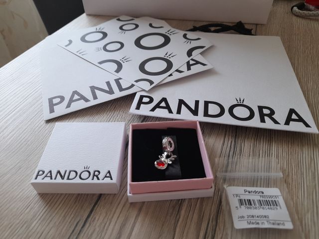 Charm Pandora