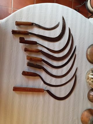 APEROS ANTIGUOS RESTAURADOS. DECORACIÓN AGRÍCOLA.