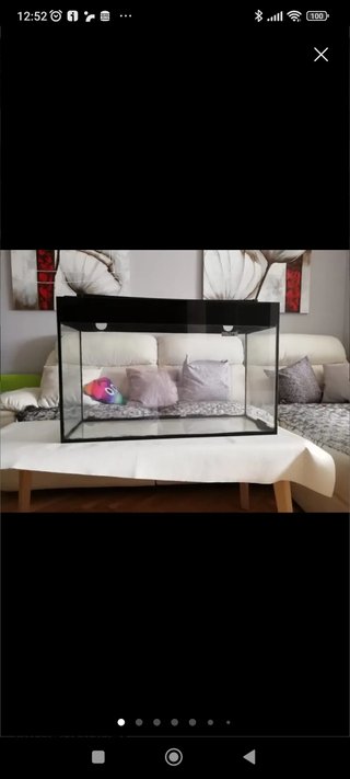 Acuario ICA 100 Litros