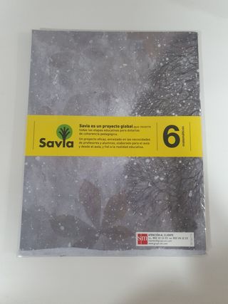 Libros Matematicas 6 de primaria savia
