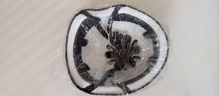 Casco