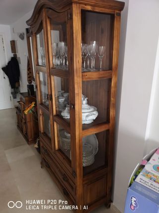 Vitrina rustica 