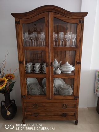Vitrina rustica 