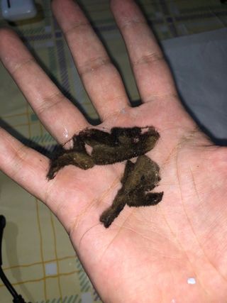 mantenimiento Informatico