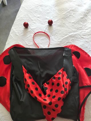 Disfraz mariquita talla M