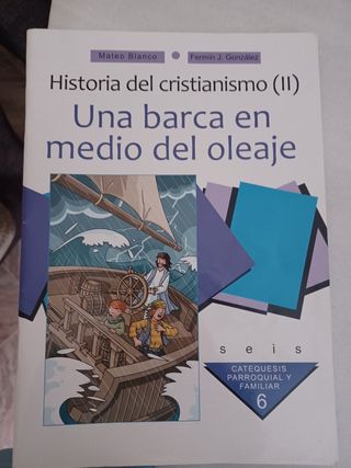 Una barca en medio del oleaje