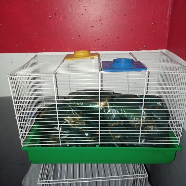 Gabbia per criceti