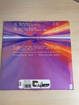 Disco vinilo musica makina